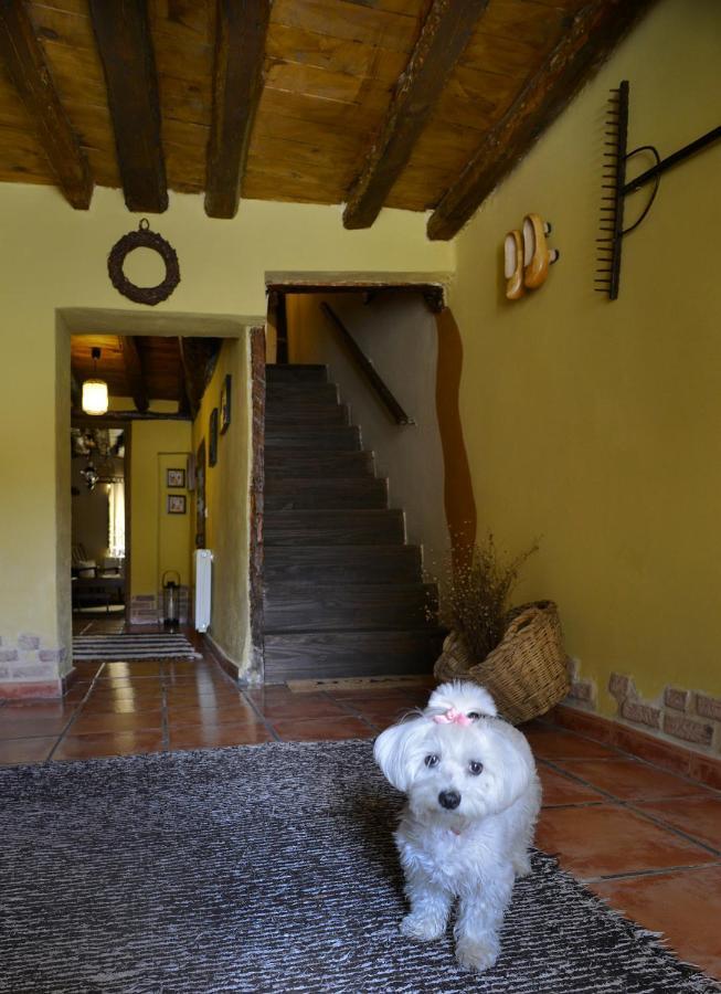 La Casita De Leire Guest House Tamajon Ngoại thất bức ảnh