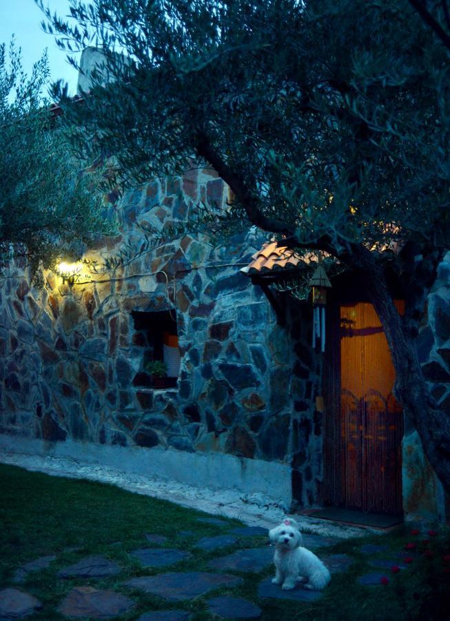 La Casita De Leire Guest House Tamajon Ngoại thất bức ảnh